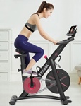 YESOUL S3 Cyclette Indoor per allenamento domestico