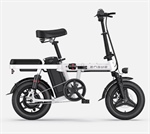 Engwe T14 bicicletta elettrica piegevole da 250 W 10 Ah