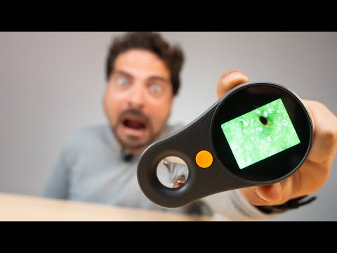 Microscopio Portatile 500X Per Bambini - Schermo IPS 2'', 8 LED, USB, Nero - Foto 6